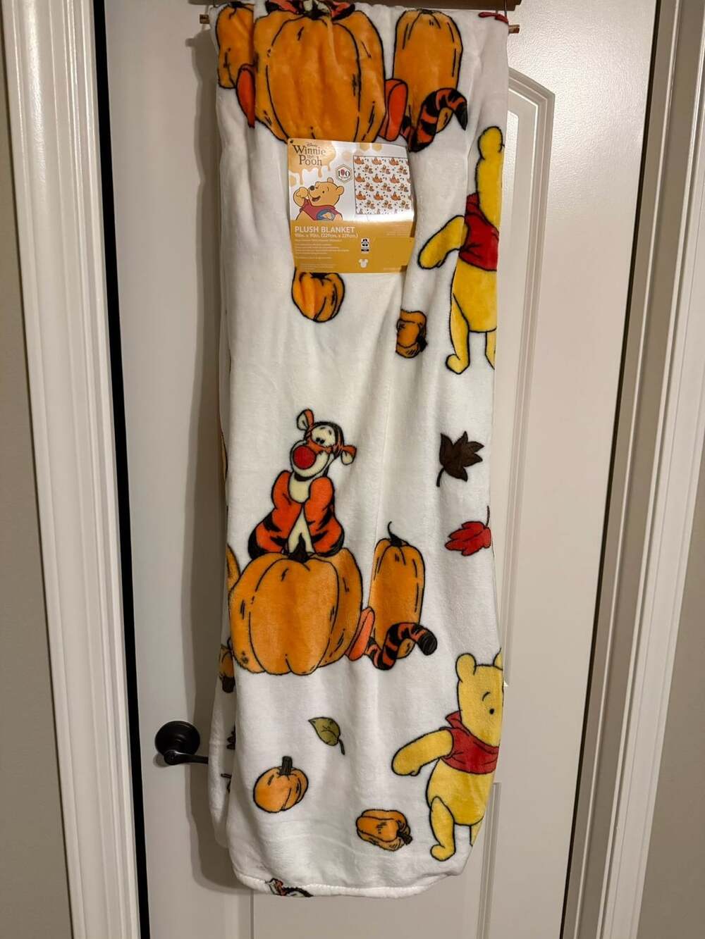 Disney Winnie the Pooh Plush Blanket 90in. x 90in. White Fall Pumpkins